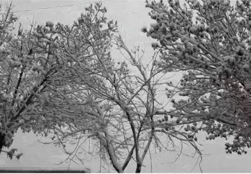 خداحافظ پاییز رنگارنگ؛ خوش آمدی زمستان زیبا و برفی 