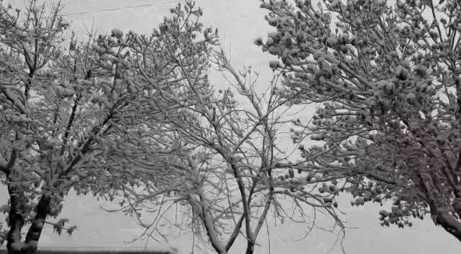 خداحافظ پاییز رنگارنگ؛ خوش آمدی زمستان زیبا و برفی 