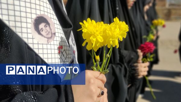 پرستو بی‌نام  در آشیانه شهر دستنا 