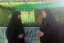 این عمل جنایتکارانه شروع خشم ملت ایران است