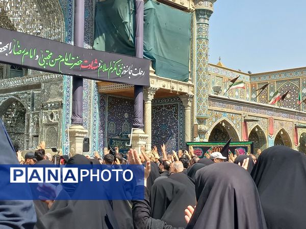 دسته عزاداری بانوان قم در سالروز شهادت امام رضا(ع)