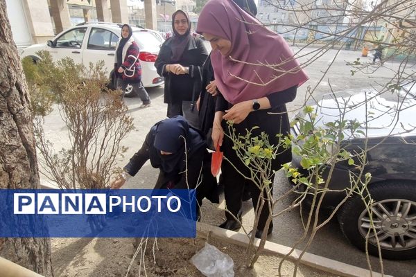 زینت بخشی مدارس شهرستان قدس با کاشت نهال های جوان