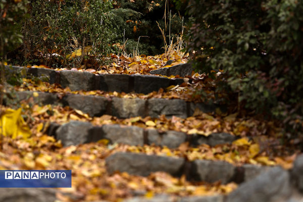 پاییز خیال انگیز در پارک جمشیدیه