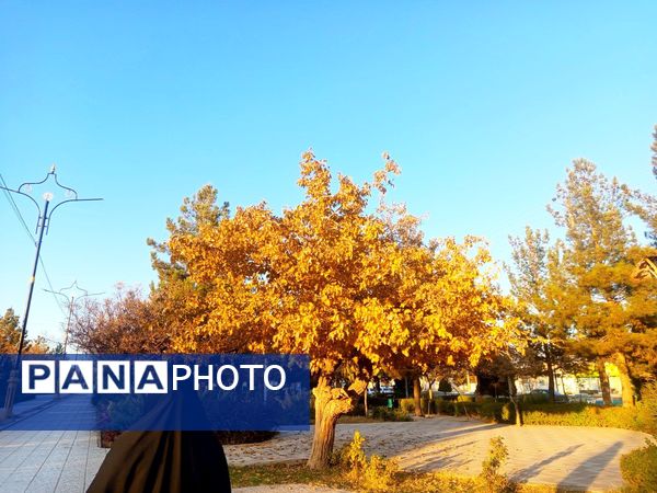 طبیعت زیبای کاشمر در پاییز