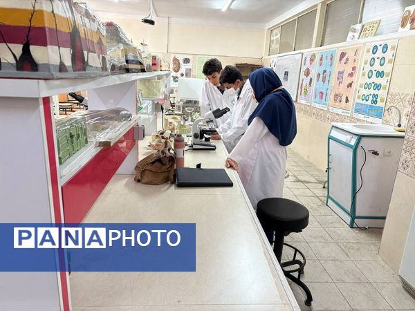  مرحله منطقه‌ای محور فعالیت‌های آزمایشگاهی یازدهمین جشنواره نوجوان خوارزمی در البرز