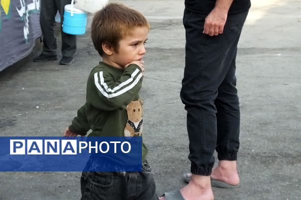 از نگاه معصوم کودک تا اشک پیرمرد؛ روایت عاشقی در موکب «عشاق‌الحسین»