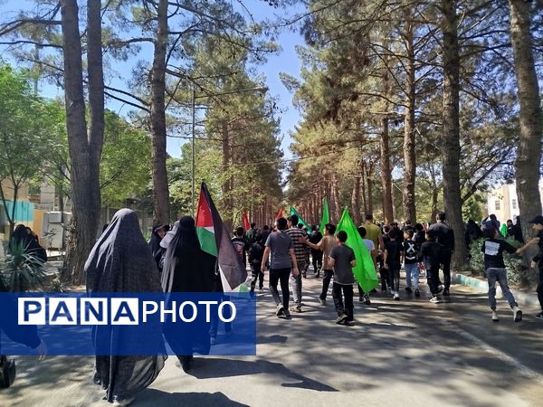 جاماندگان اربعین حسینی در  راهپیمایی حرم تا حرم نیشابور 