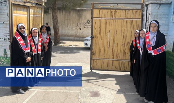 سالگرد شهادت شهید جمهور و دیگر شهدای خدمت در تربت‌جام