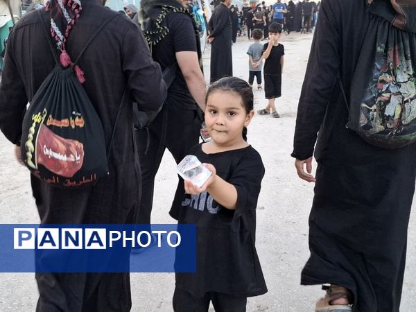 گام های عاشقی از قلب های سرگشته تا میعادگاه دلدادگی 