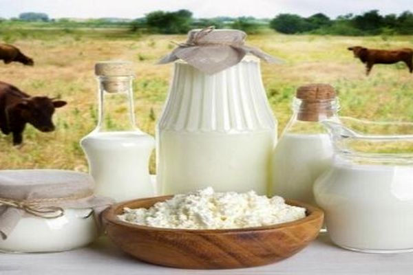 شبکه‌های اجتماعی دلال‌ها را از بازار سنتی محصولات دامی البرز حذف می‌کنند