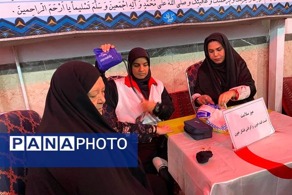 پیشوا در سوگ؛ سالروز شهادت امامزاده جعفر(ع)، ملجأ و پناه مردم دیار کهن