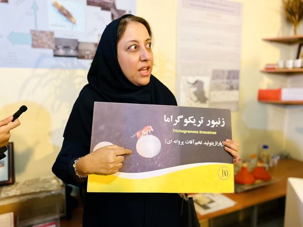 دانش آموزان خبرنگار، قهرمانان کشف دنیای گیاهان