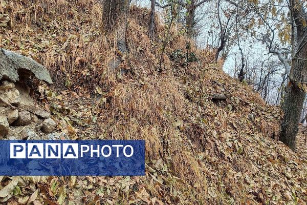 چهره شفاف و دل انگیز شهربارنیشابور با بارش  باران پاییزی  