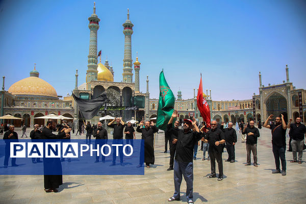 عزاداری سالروز شهادت امام حسن مجتبی(ع) در حرم حضرت معصومه(س)