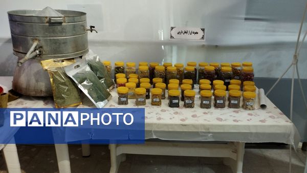 بازدید دانش آموزان از نمایشگاه پژوهش و فناوری در خلیل آباد