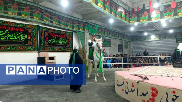 عطر غربت فاطمی در مارکده پیچید