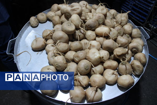 دهه فاطمیه در چهار باغ اصفهان