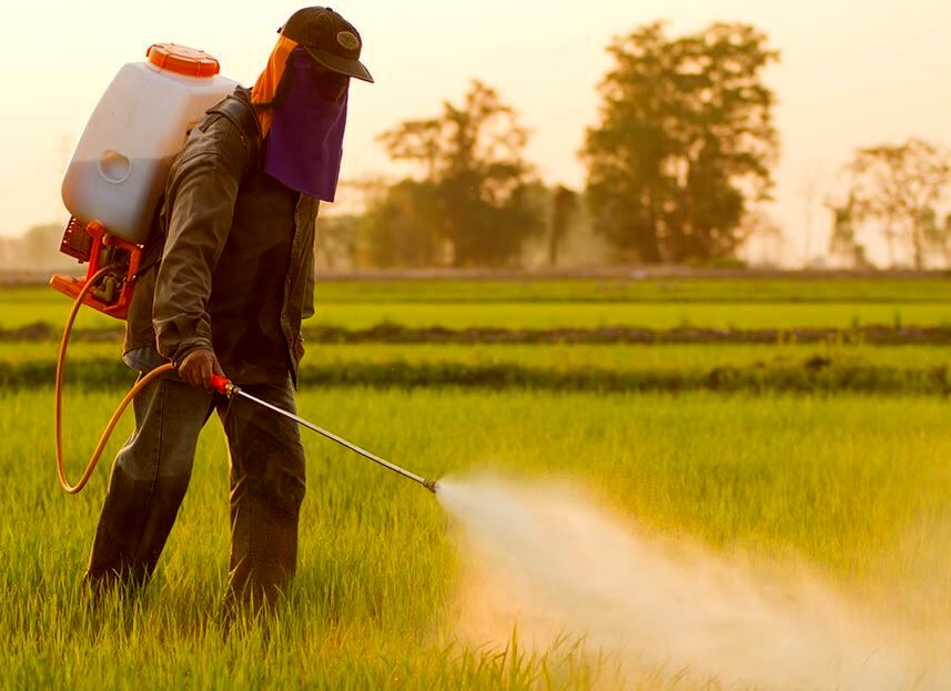 لزوم اجرای استاندارد اجباری برای ۳۰ قلم آفت‌کش کشاورزی