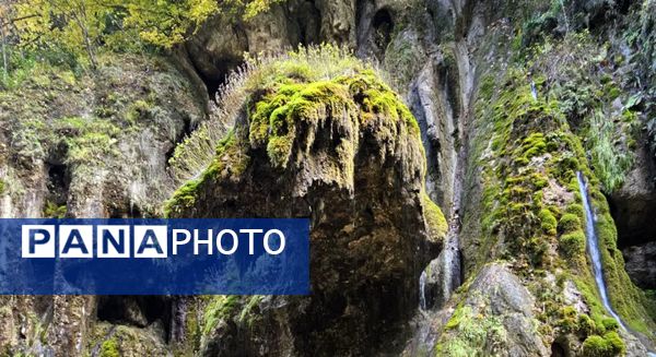 طبیعت بکر باران کوه استان گلستان