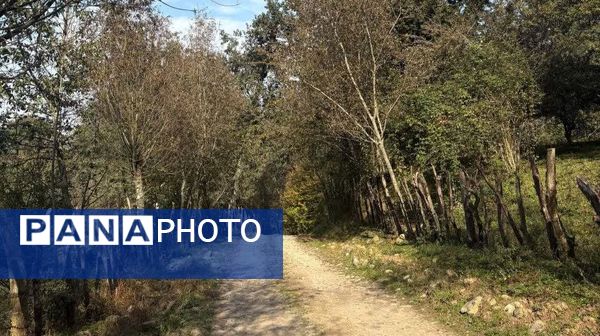 نگین سبز شمال ایران