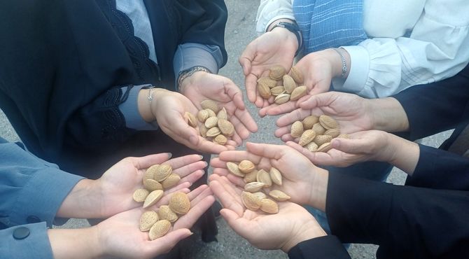 کارگاه بازی و مسابقه بادام در روستای جندابه