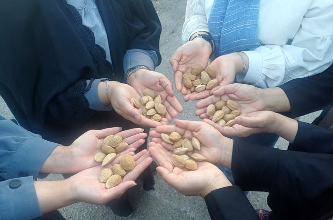 کارگاه بازی و مسابقه بادام در روستای جندابه