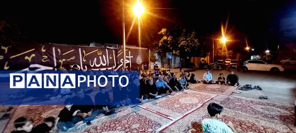 روضه خیابانی در شهرستان کاشمر