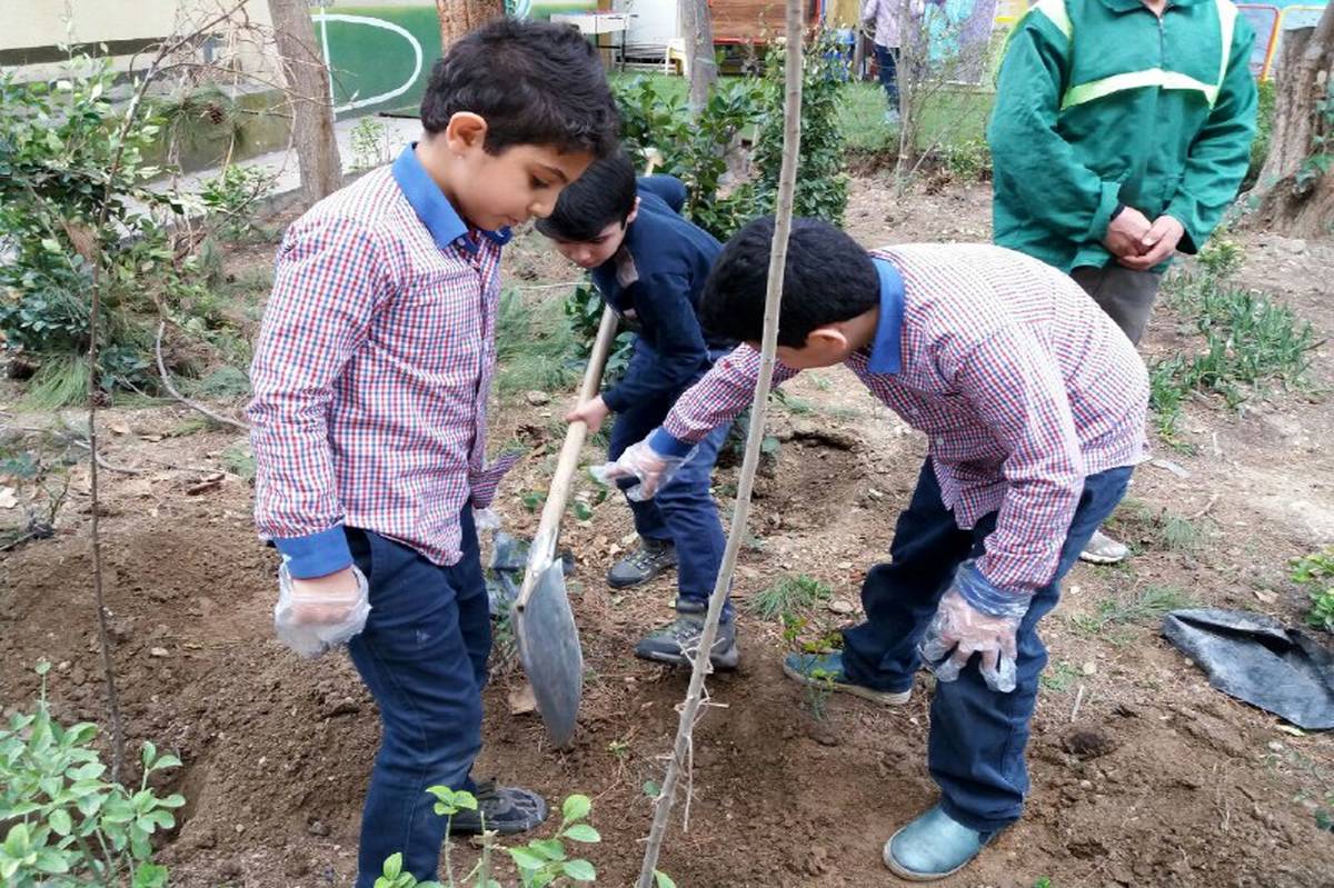 همکاری ۲۸۸ هزار و ۳۲۰ دانش‌آموز همیار طبیعت در اجرای طرح «هر مدرسه یک نهالستان»