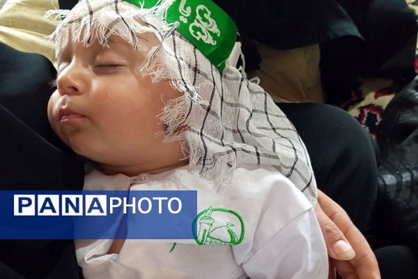 برگزاری مراسم شیرخوارگان حسینی درشهرستان ملارد