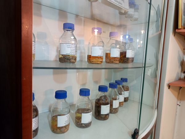 گام خبرنگاران در مسیر تنوع زیستی