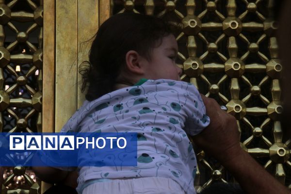 آسمان حرم مطهر رضوی غرق در نوای علمدار نیامد