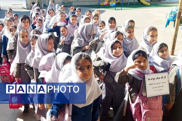 یک روز مفرح و شاد با جنگ جوانه‌ها