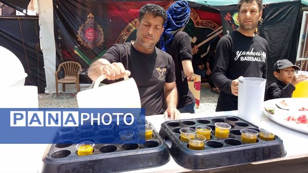 موکب‌های خدمت‌رسان به عزاداران حسینی در کاشمر