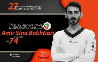 یک نشان برنز در ویترین تکواندو ایران/ سومی بختیاری قطعی شد