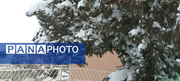 جلگه رخ سفید پوش شد 