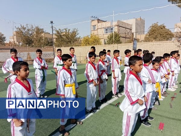 المپیاد درون مدرسه ای،مدارس منطقه رضویه