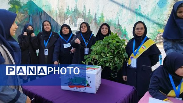 انتخابات شورای دانش آموزی دبیرستان شاهد تکتم ناحیه۳