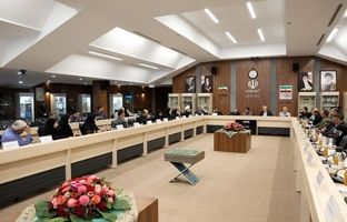 تأکید رئیس کمیته ملی پارالمپیک بر نقش‌آفرینی سازمان‌ها در توسعه جنبش پارالمپیک