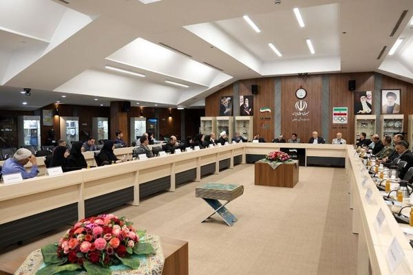 تأکید رئیس کمیته ملی پارالمپیک بر نقش‌آفرینی سازمان‌ها در توسعه جنبش پارالمپیک