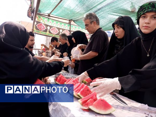 پیاده‌روی جاماندگان اربعین، راهیان کربلای ایران مشهداردهال