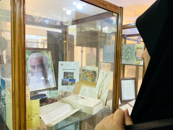 دانش آموزان خبرنگار، قهرمانان کشف دنیای گیاهان
