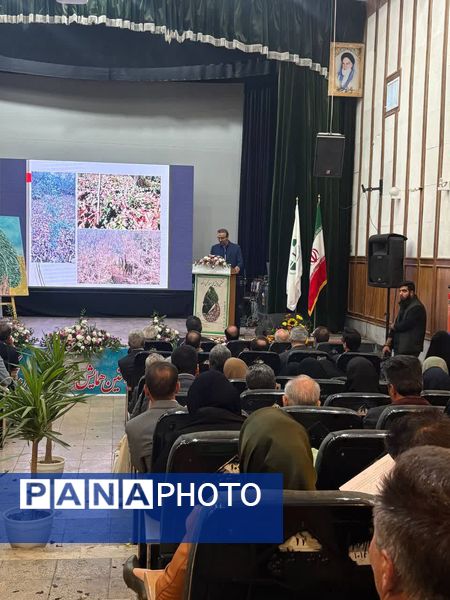 برگزاری نخستین همایش ملی سرو ابرکوه 