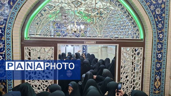 روایت اشک و ارادت عاشقان در سوگ وفات حضرت معصومه(س)