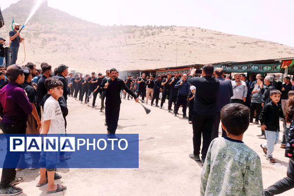 امامزادگان میزبان عزاداران محرم 