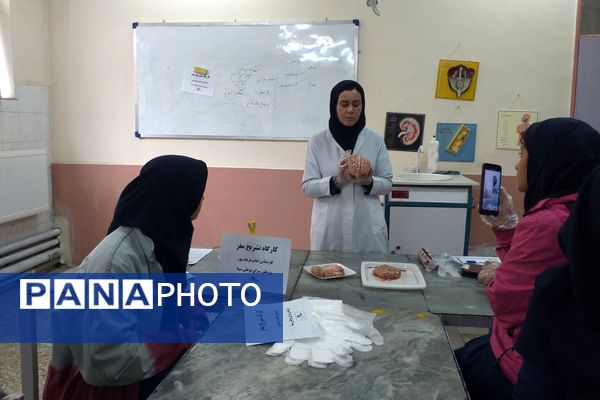 برگزاری کلاس آناتومی و تشریح مغز در پژوهش‌سرای بوعلی سینا ملارد