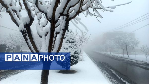 بارش برف در ارتفاعات شاندیز