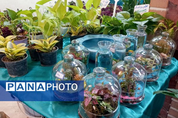 نمایشگاه گل و گیاه در نمایشگاه دائمی قرچک