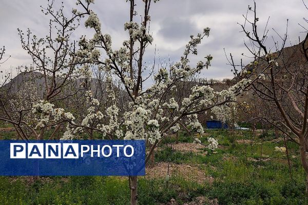 شهر بار نگین سبز خراسان رضوی میزبان فصل بهار 